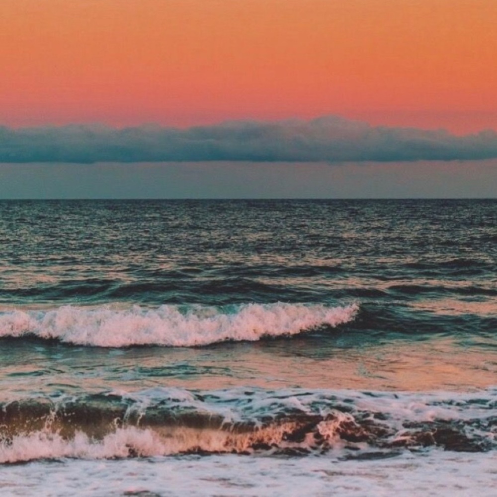 Meet your Posher, Aubrey